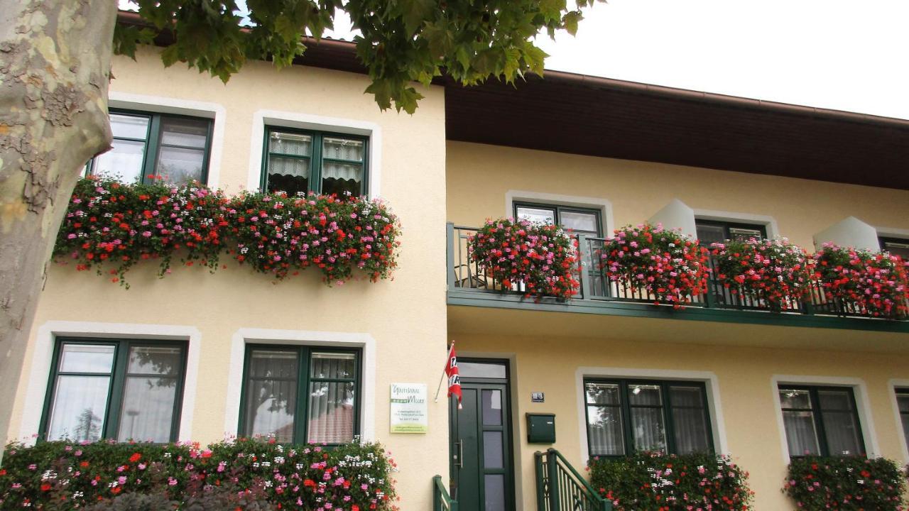 مبيت وإفطار بودرسدورف ام سي Gastehaus Moser المظهر الخارجي الصورة